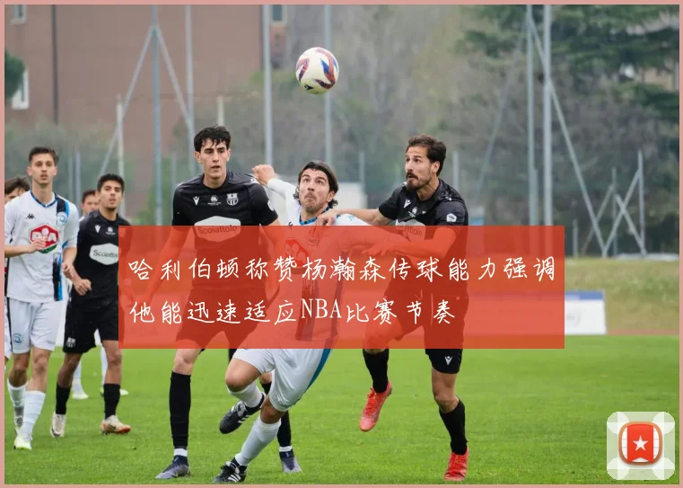 哈利伯顿称赞杨瀚森传球能力强调他能迅速适应NBA比赛节奏
